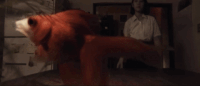 and so we put goldfish in the pool GIF by NOWNESS