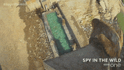 bbc one GIF by BBC