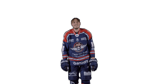 Ducs Dangers Hockey Sticker by Les Ducs d'Angers