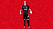 Football Applause GIF by SK Slavia Praha