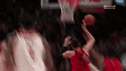 jusuf nurkic expression GIF by NBA