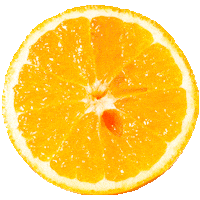 ohzamimosas celebrate orange peach mango Sticker