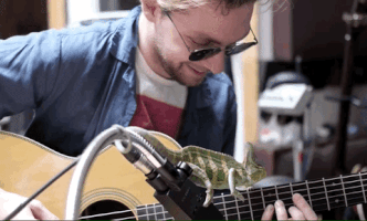 guitar winston GIF by Zack Kantor