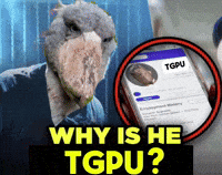Shoebill GIF