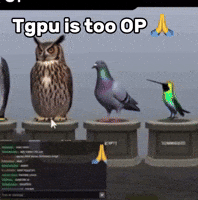 Op GIF
