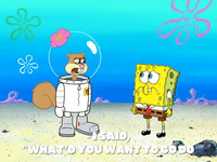 season 7 episode 20 GIF by SpongeBob SquarePants