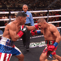 Knockout Fighting GIF by Premier Boxing Champions