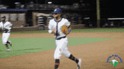 Happy Hi Five GIF by Coastal Plain League