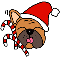 Fun Winter Sticker by Ivo Adventures