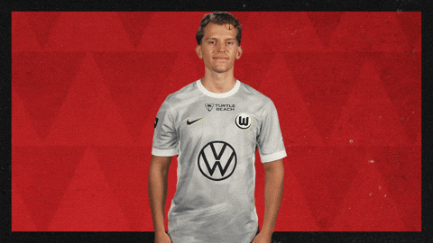 Vfl Wolfsburg Football GIF by Bundesliga