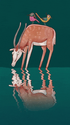 Animation Water GIF
