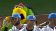 williams trevor GIF by MLB