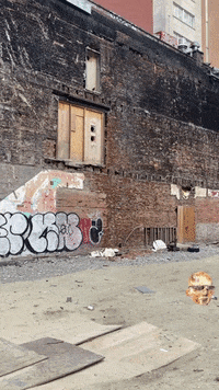 GIF by Alex Boya