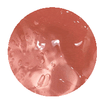 Party Fashion Sticker