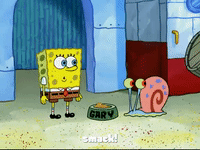 season 7 keep bikini bottom beautiful GIF by SpongeBob SquarePants