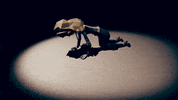 Video Game Drinking GIF by White Owls Inc
