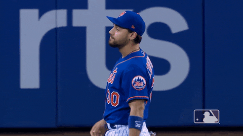 Ny Mets Thank You GIF by New York Mets