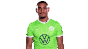Lets Go Football Sticker by VfL Wolfsburg