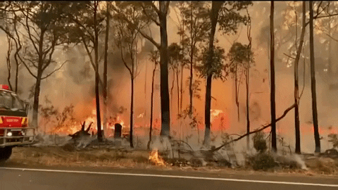 giphydvr australia giphynewsinternational wildfires australia fires GIF
