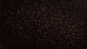 Good Morning GIF by Berk's Beans Coffee