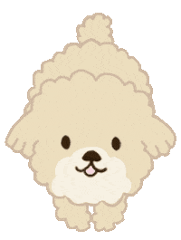 Poodle Sticker