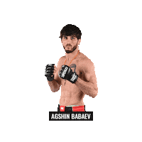 Mixed Martial Arts Mma Sticker by BRAVE Combat Federation