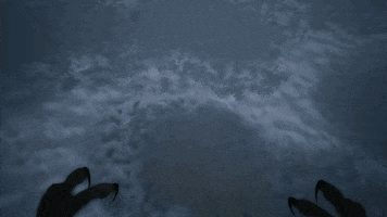 annapurnainteractive annapurnainteractive edithfinch GIF
