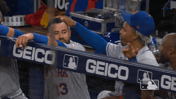 Ny Mets Baseball GIF by New York Mets