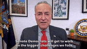 Chuck Schumer GIF by GIPHY News