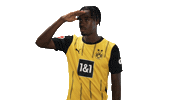 Looking Around Borussia Dortmund Sticker by Bundesliga