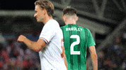 Liverpool Fc Walking GIF by Northern Ireland