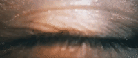 sex for breakfast GIF by Life Of Dillon