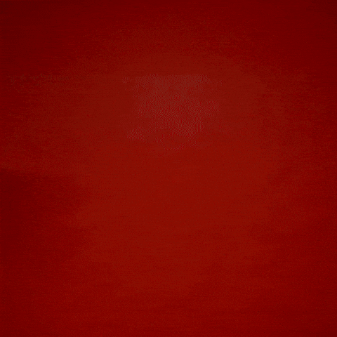 Ben Roberts GIF by Texas Tech Football