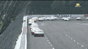Sport Racing GIF by NASCAR