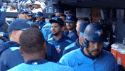 Blue Jays Baseball GIF by Toronto Blue Jays