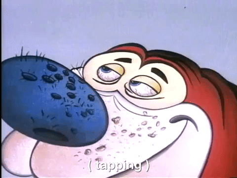 ren and stimpy nicksplat GIF