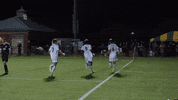 Soccer Goalcelebration GIF by William & Mary Tribe Athletics