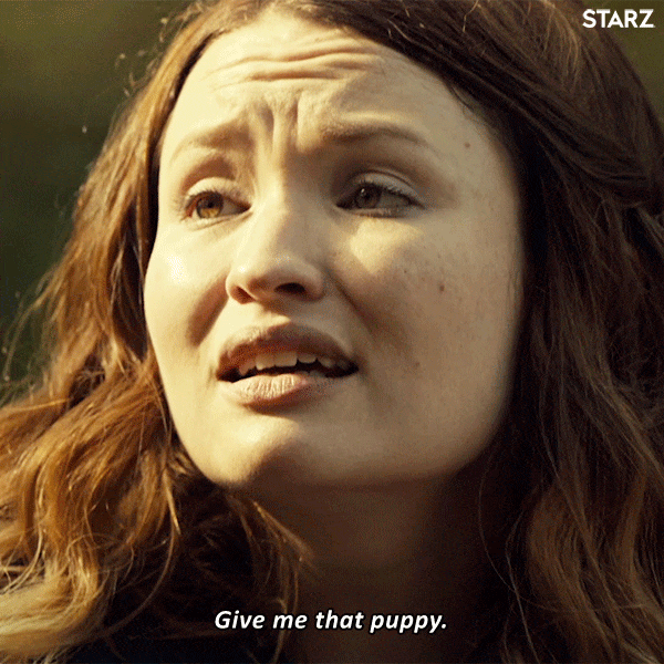 americangods reaction dog season 2 puppy GIF