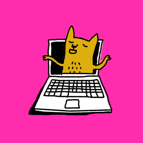 Cat Video GIF by Kochstrasse™