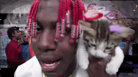 Lil Yachty Cat GIF by Danny Chang