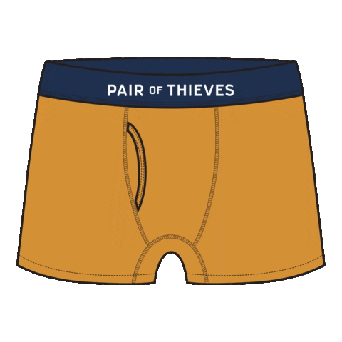 Underwear Trunks Sticker by Pair of Thieves