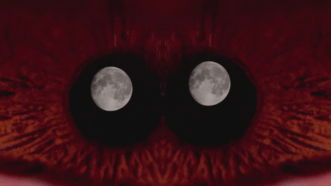 Art Video GIF by jorgemariozuleta