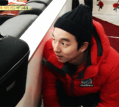 gong yoo GIF