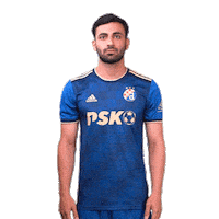 Football Soccer Sticker by GNK Dinamo
