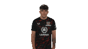 Bayer Leverkusen Omg Sticker by Bundesliga