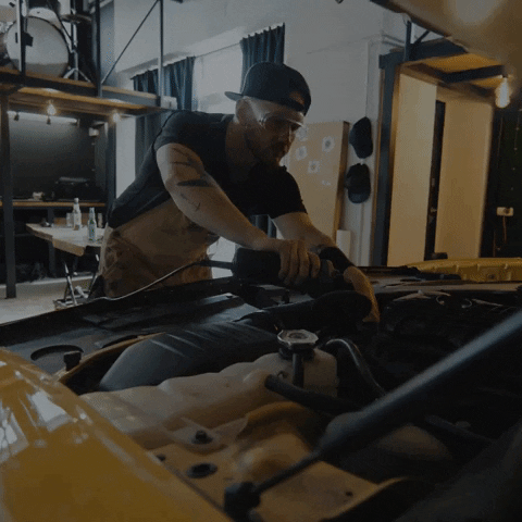 whitneylemond giphyupload GIF