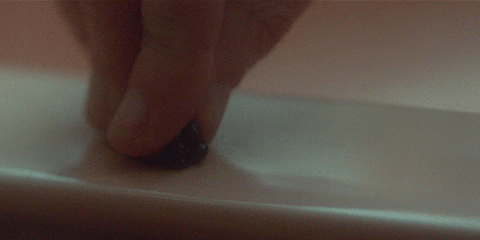 Woodshock GIF by A24
