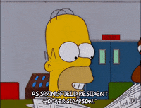 homer simpson episode 13 GIF