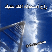 ميمز GIF