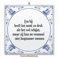 Focus Nl GIF by Tegelspreuken.nl